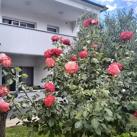 Rose Garden * Vodice